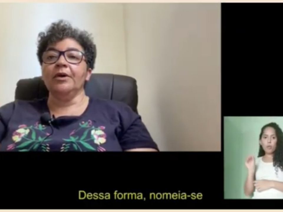 Defesa de trabalho sobre charges acessíveis - 2020.